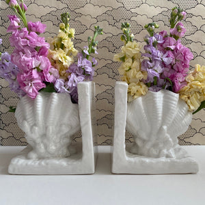 Shell Bookends