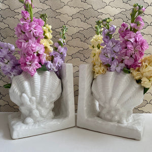 Shell Bookends