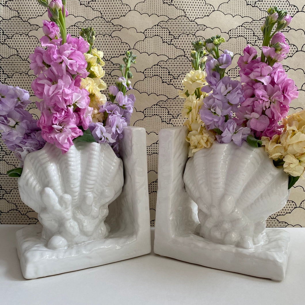 Shell Bookends